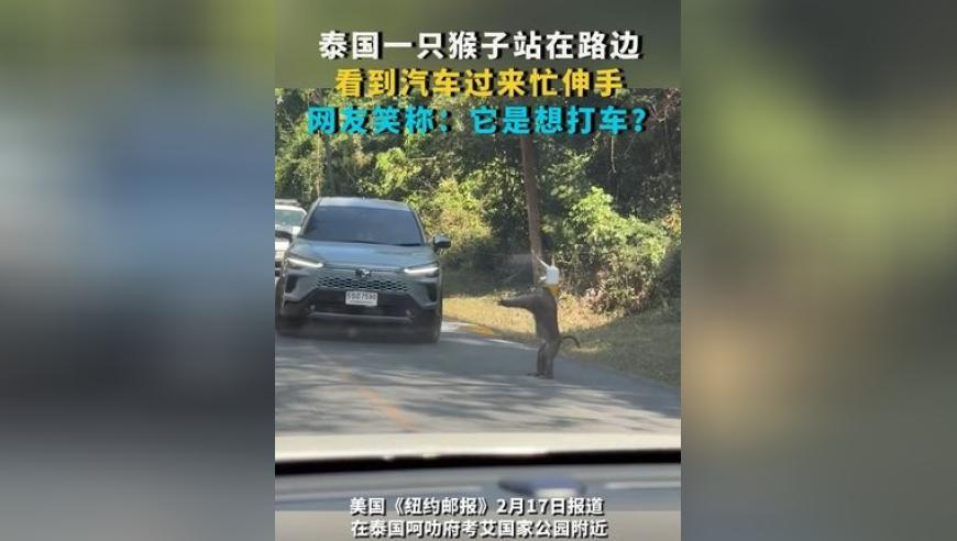 26岁女子曝面试时遭七旬男子猥亵,2025年香港图库彩图彩色,精准解释落实及其象征意义_AndroidV3.58